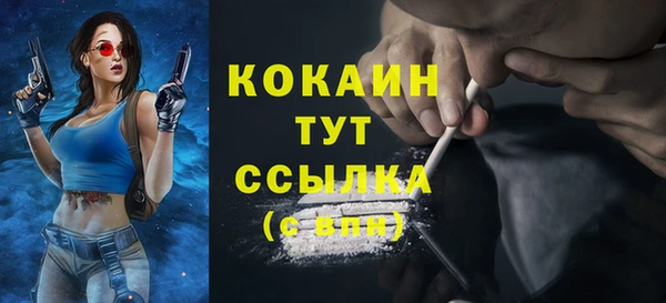 ешки Медногорск