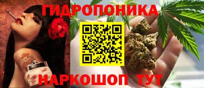 сатива Нарткала