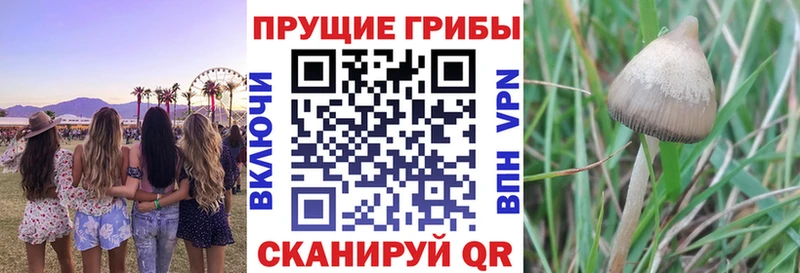 Галлюциногенные грибы Magic Shrooms  Чистополь 