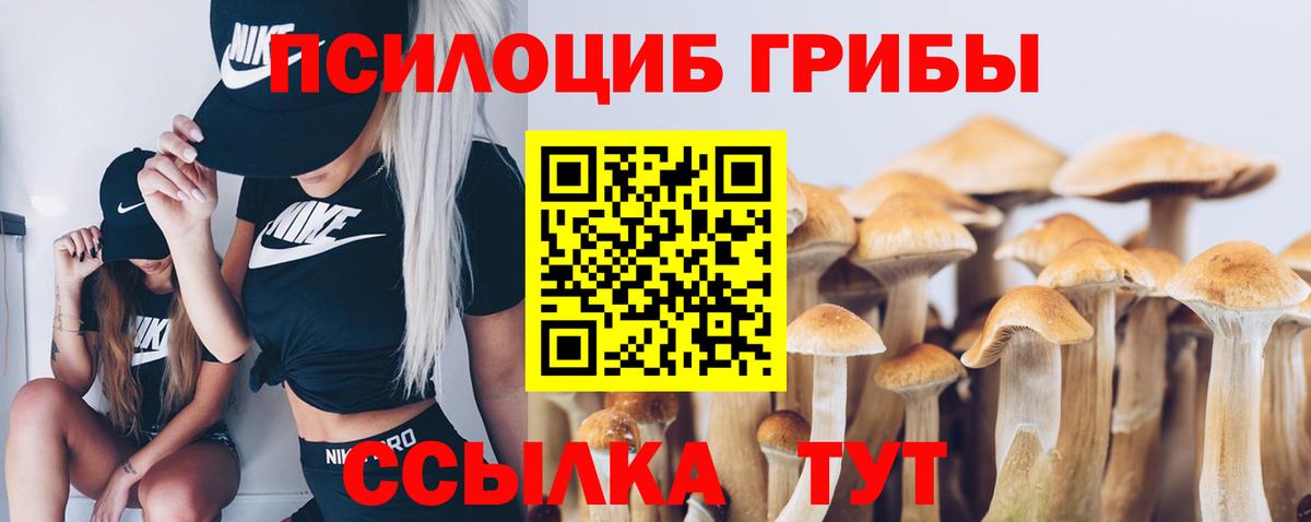 Чистополь  Галлюциногенные грибы мицелий  Псилоцибиновые грибы MAGIC MUSHROOMS  Вход с VPN 